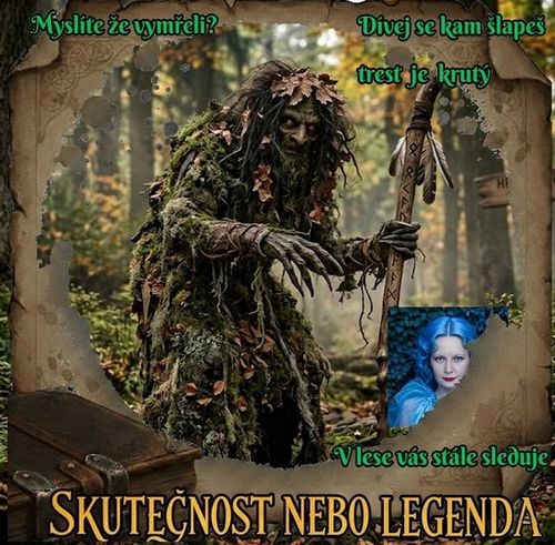 V tomto lese máte pocit, že vás někdo sleduje